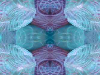 Similar image 22692743