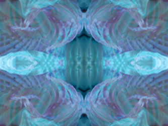 Similar image 22653442