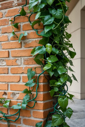 Similar image 22655404