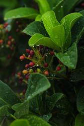 Similar image 22769871