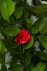 Similar image 22769872
