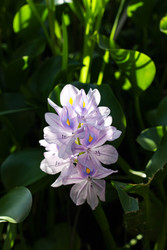 Similar image 22769874