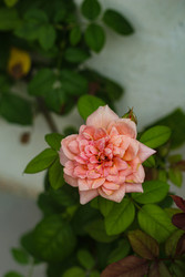 Similar image 22769875