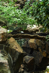 Similar image 22769888