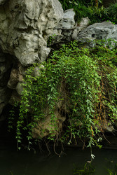 Similar image 22769947