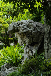 Similar image 22770021
