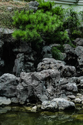 Similar image 22770050