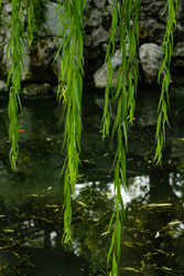 Similar image 22770095