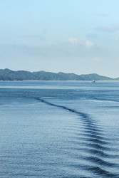 Similar image 22769676