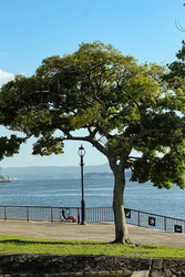 Similar image 22769695