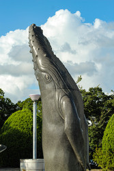 Similar image 22769708