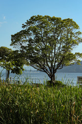 Similar image 22769737