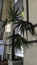Similar image 22664368