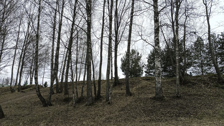 Similar image 22664415