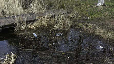 Similar image 22654540