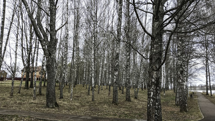 Similar image 22654555