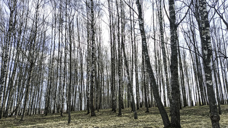 Similar image 22654636