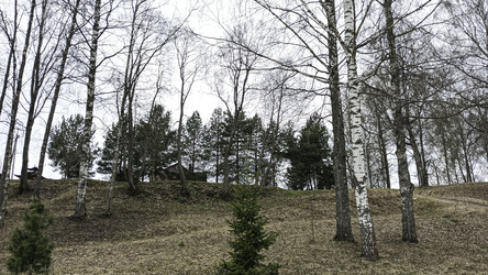 Similar image 22664358