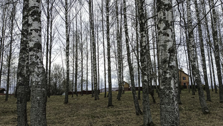 Similar image 22664373