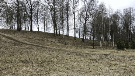 Similar image 22664403