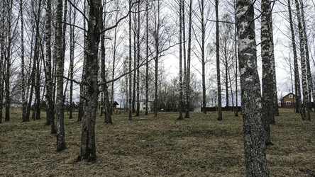 Similar image 22664406
