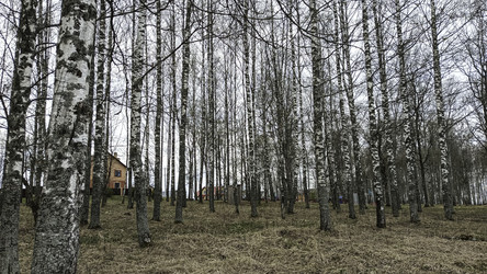 Similar image 22654553