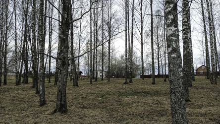 Similar image 22654564