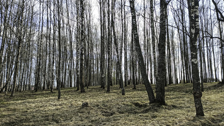 Similar image 22654569