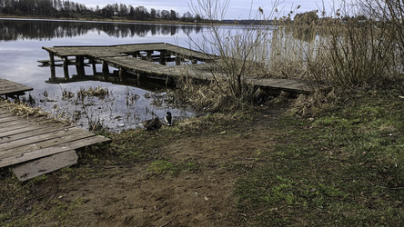 Similar image 22654595