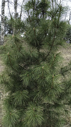 Similar image 22654598