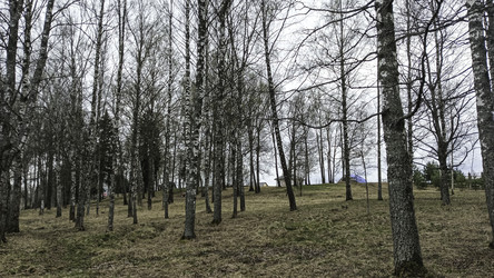 Similar image 22654627