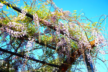 Similar image 22704040