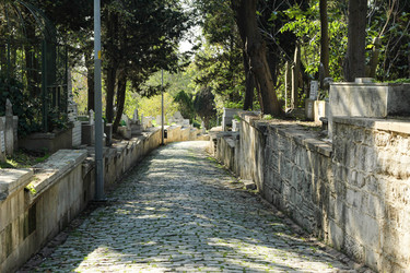 Similar image 22770038