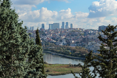 Similar image 22770051