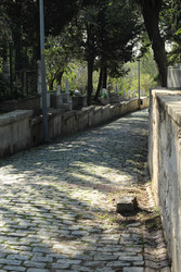 Similar image 22770052