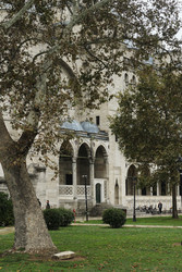 Similar image 22770098