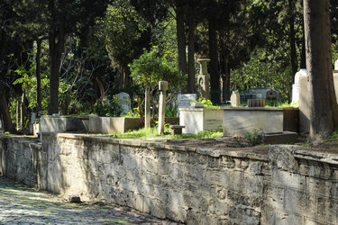 Similar image 22770143