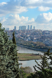 Similar image 22770175
