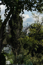 Similar image 22770189