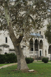 Similar image 22770205