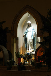 Similar image 22769729