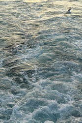 Similar image 22769846