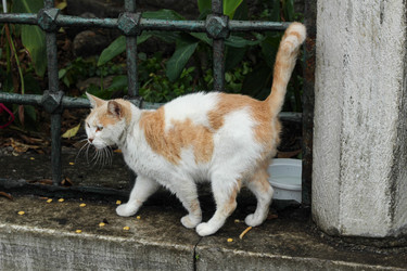 Similar image 22769953