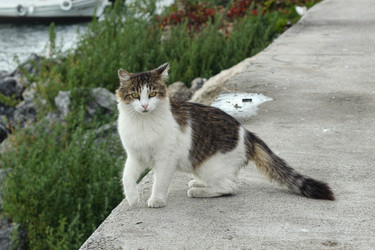 Similar image 22769970