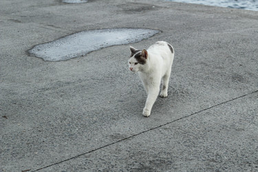 Similar image 22769973