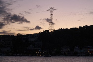 Similar image 22769983