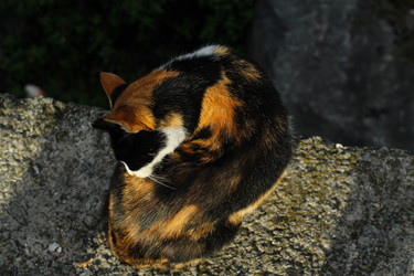 Similar image 22769986