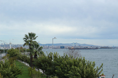 Similar image 22770016