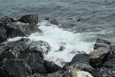 Similar image 22770028