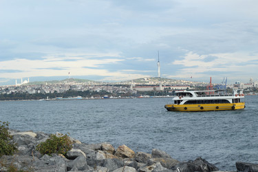 Similar image 22770029